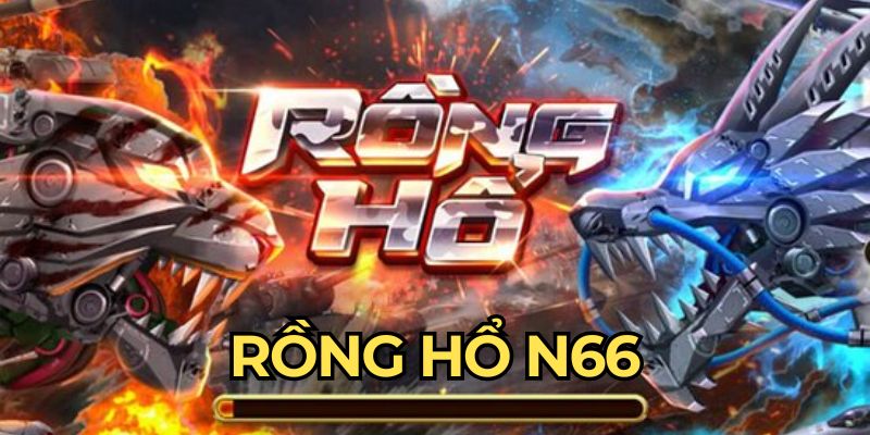 Rồng Hổ N66